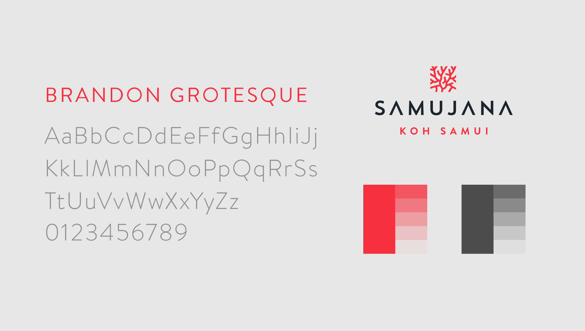 Samujana logo, colours and font